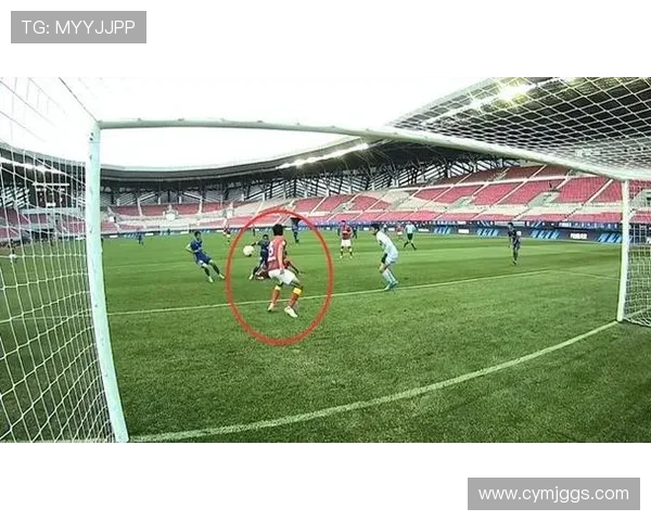 韩佳奇何宇鹏吴少聪杨立瑜基地康复训练